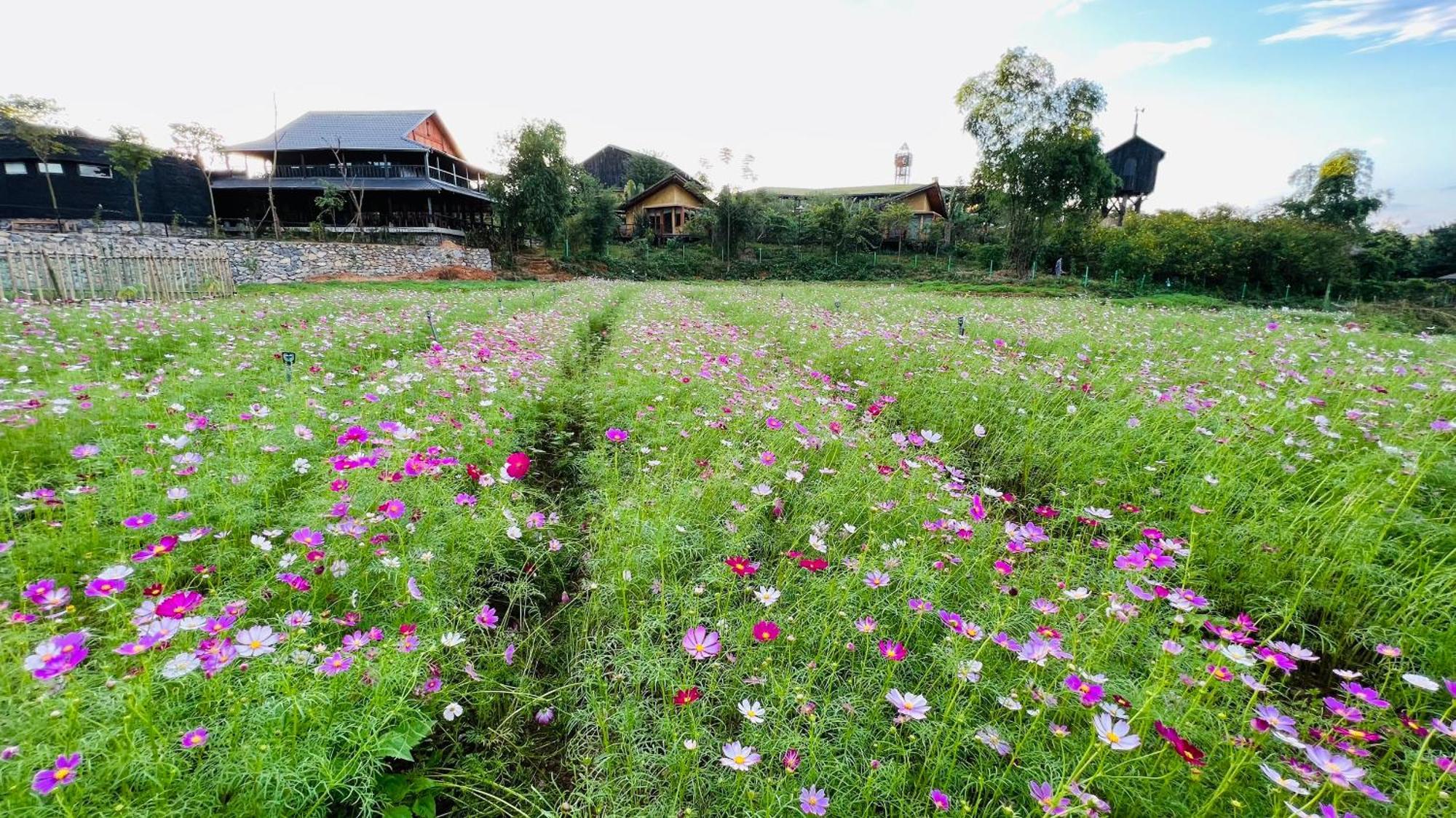 Satoyama Village Luong Son  エクステリア 写真